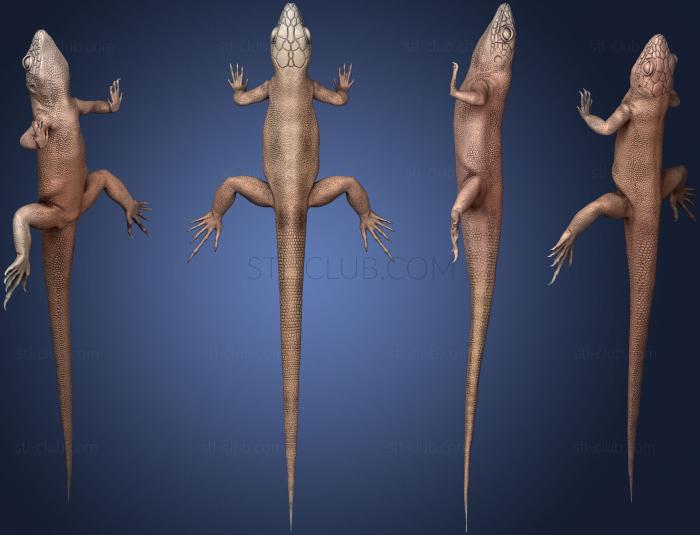 3D model lizard02 (STL)